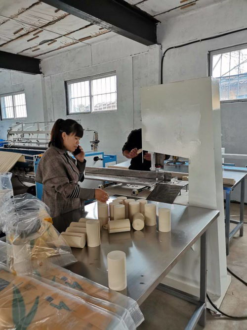 辦衛(wèi)生紙加工廠所需人工及個(gè)人衛(wèi)生用品銷(xiāo)售策略